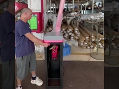 HCW पार्किंग लॉट बूम बैरियर गेट 24v DC ब्रशलेस मोटर मैकेनिज्म स्मार्ट गेट सुरक्षा के लिए